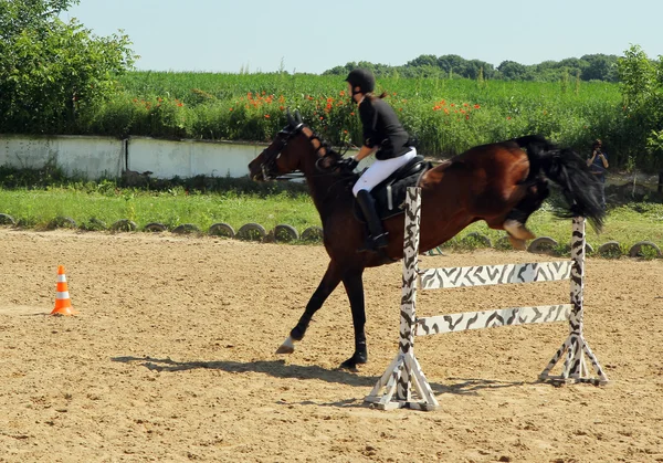 Passeios a cavalo — Fotografia de Stock