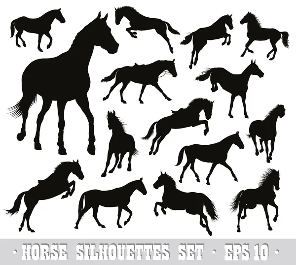 Conjunto de caballos vectores — Archivo Imágenes Vectoriales