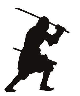 Ninja. Warriors Tema