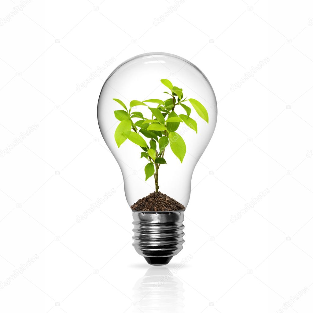 Light Bulb with green tree inside