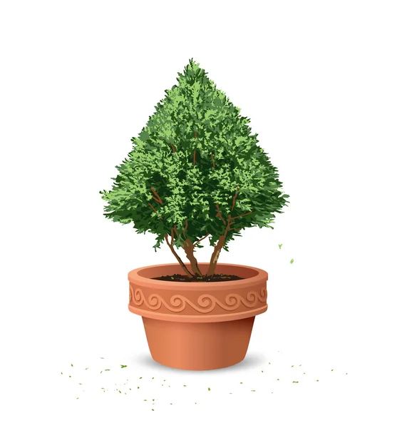 Potten pine boom ontwerp achtergrond — Stockvector