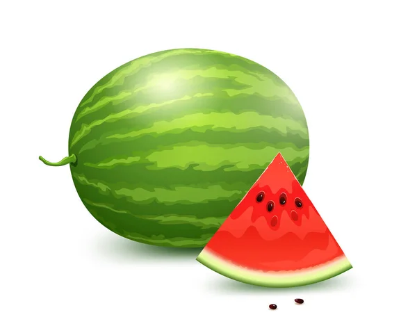 Wassermelone Volle Kugeln Und Wassermelone Rot Frisch Geschnitten Der Hälfte — Stockvektor