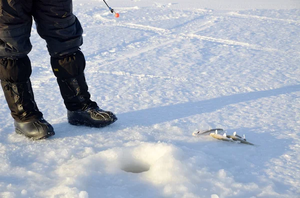 Pesca sul ghiaccio — Foto Stock