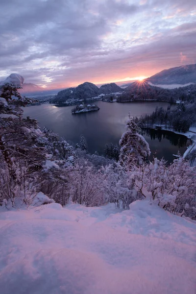 Lake Bled Winter Morning Fresh Snow — Fotografia de Stock