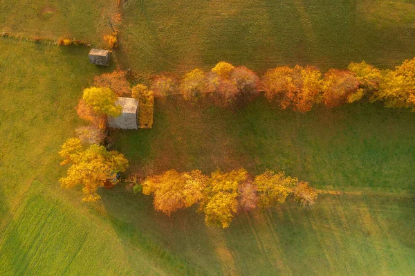 Aerial Image Showing Grand Forest Autumn Sunrise — Zdjęcie stockowe