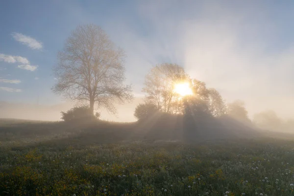 Zemědělství Krajina Ranní Mlze Malou Vesnicí Blízkosti — Stock fotografie