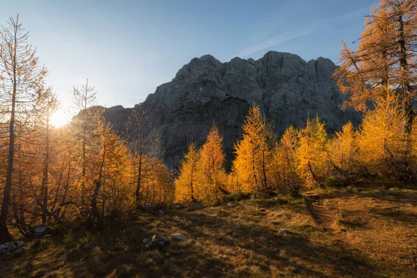 Autumn Slemenova Spica Plateau Julian Alps Mountains — Stock Fotó