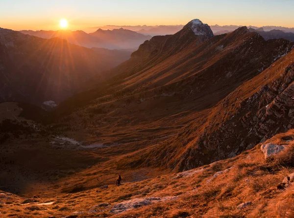 日没時に山の中でアルパインIbex — ストック写真