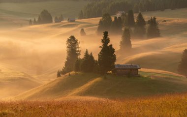 Dolomitlerin sabah sisli ve ruhani atmosferli dağ çayırları..