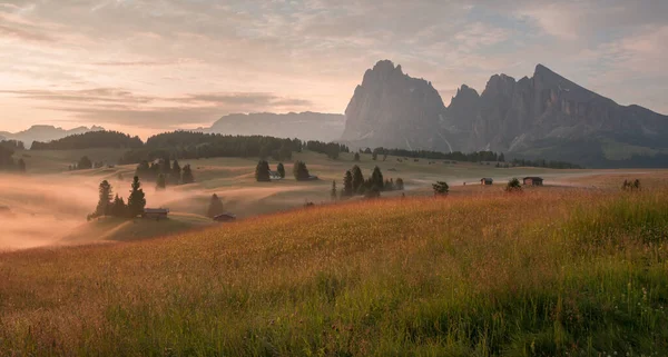 Horské Louky Dolomit Ranní Mlze Mlze Éterickou Atmosférou — Stock fotografie