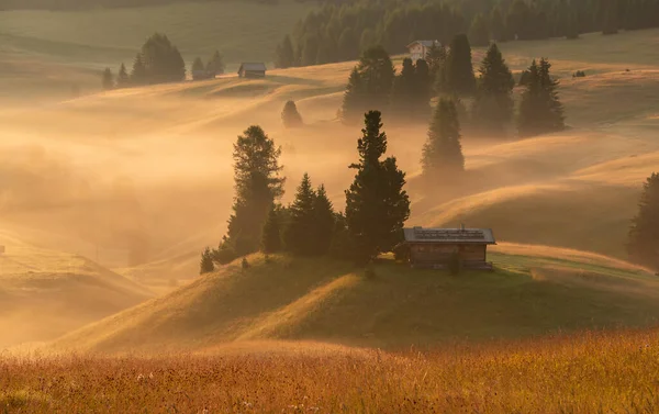 Dolomitlerin sabah sisli ve ruhani atmosferli dağ çayırları..