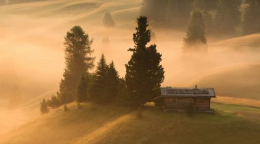 Dolomitlerin sabah sisli ve ruhani atmosferli dağ çayırları..