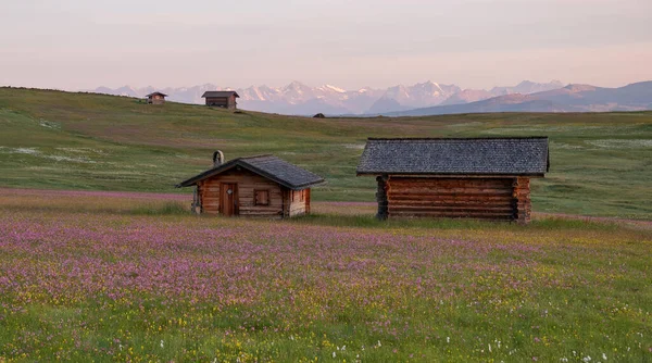 Zonsopgang Weiden Van Het Dolomieten Gebergte — Stockfoto