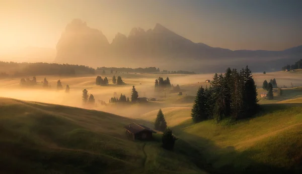 Seiser Alm Louky Západu Slunce Horách — Stock fotografie