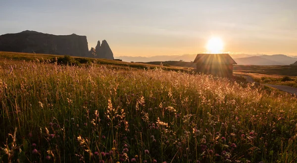 Seiser Alm Louky Západu Slunce Horách — Stock fotografie