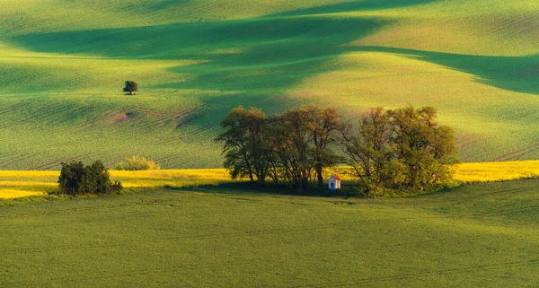 Zuid Moravië Landschap Landbouwgrond Bij Zonsopgang — Stockfoto