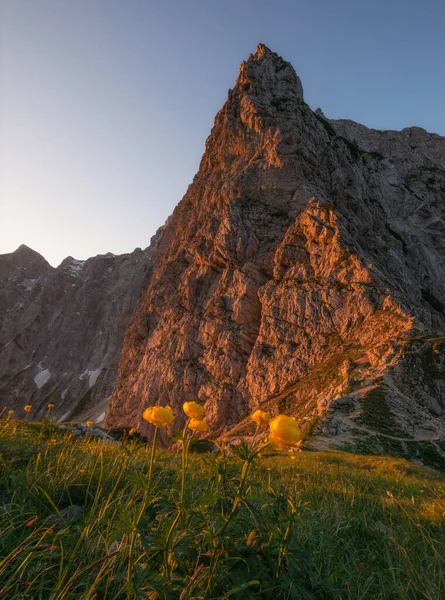 Zomer Het Berglandschap Van Julian Alpen — Stockfoto