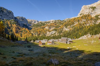 Dağlarda sonbahar. Tarla ağaçlarının arasından güzel manzaraya doğru bir yürüyüş yap.. 