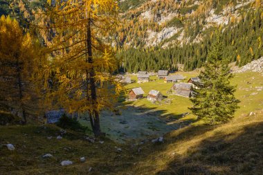 Dağlarda sonbahar. Tarla ağaçlarının arasından güzel manzaraya doğru bir yürüyüş yap.. 
