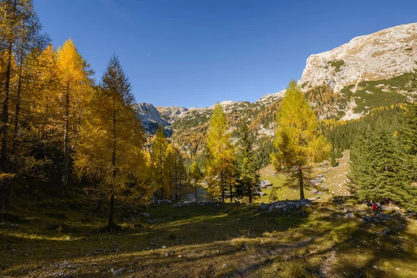 Dağlarda sonbahar. Tarla ağaçlarının arasından güzel manzaraya doğru bir yürüyüş yap.. 
