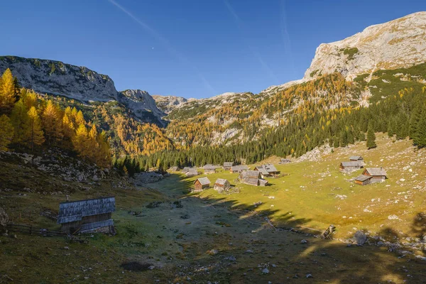 Herbst Den Bergen Machen Sie Einen Spaziergang Durch Die Lärchen — Stockfoto