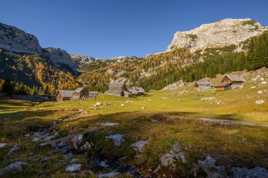 Dağlarda sonbahar. Tarla ağaçlarının arasından güzel manzaraya doğru bir yürüyüş yap.. 