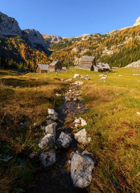 Dağlarda sonbahar. Tarla ağaçlarının arasından güzel manzaraya doğru bir yürüyüş yap.. 