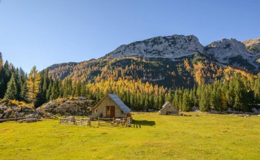Dağlarda sonbahar. Tarla ağaçlarının arasından güzel manzaraya doğru bir yürüyüş yap.. 