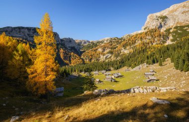 Dağlarda sonbahar. Tarla ağaçlarının arasından güzel manzaraya doğru bir yürüyüş yap.. 