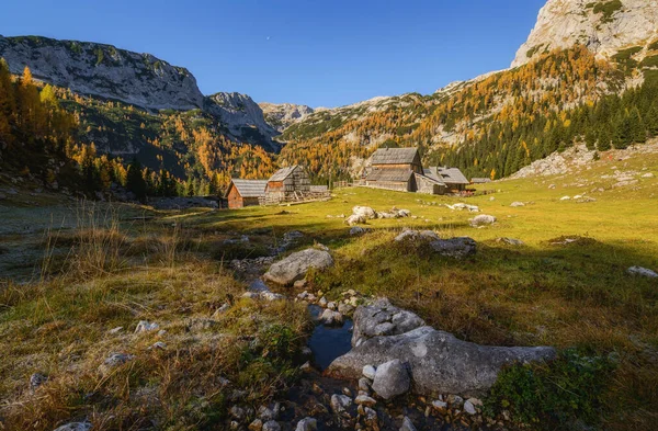 Dağlarda sonbahar. Tarla ağaçlarının arasından güzel manzaraya doğru bir yürüyüş yap.. 