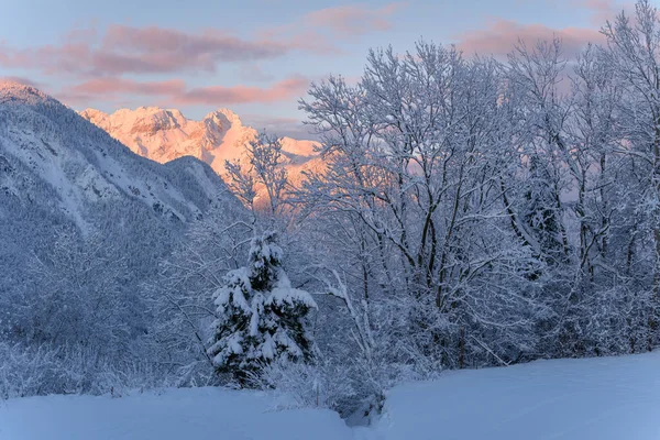 美丽的日出映衬着冬日的群山 山中白雪连绵 山水连绵不绝 — 图库照片