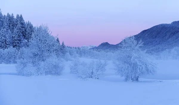 Beautiful Winter Morning Fresh Snow Frozen Lake — Photo