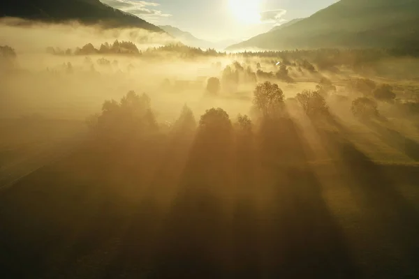 Misty Autumn Forest Beautiful Sunrise Low Mist — Stock Fotó