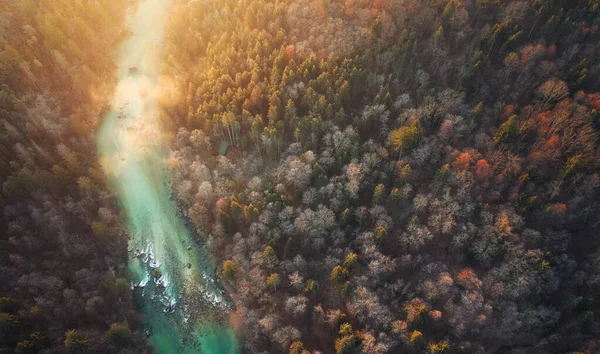 Volando Sobre Bosque Otoñal Río Amanecer —  Fotos de Stock