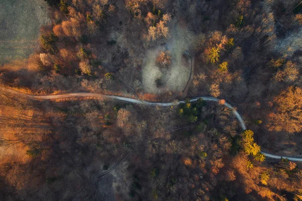 日出时分飞越秋天的森林和河流 — 图库照片