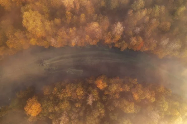 Lugn Höstmorgon Vid Floden Sava Slovenien Första Solljuset Träffar Träden — Stockfoto