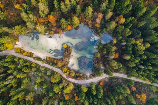 平静的秋天早晨在斯洛文尼亚萨瓦河边 雾在森林中翻滚 第一缕阳光照射在树上 — 图库照片