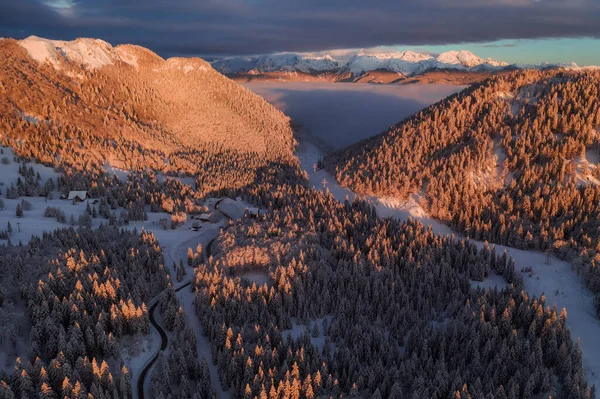 Прекрасний Зимовий Схід Сонця Горах Над Туманом Туманом — стокове фото