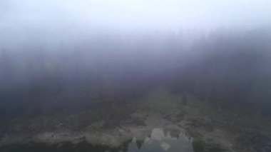 İtalya 'daki Fusine Gölü' nde sonbahar yaprakları dans ediyor. Bu güzel sisli günde tepelerde sis var.. 