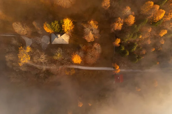 Wschód Słońca Jesiennym Lesie Mgła Mgła Wczesnym Rankiem Stworzyły Piękną — Zdjęcie stockowe