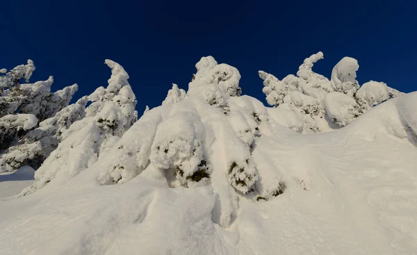 新雪の後の山の中で冬の不思議の国 — ストック写真