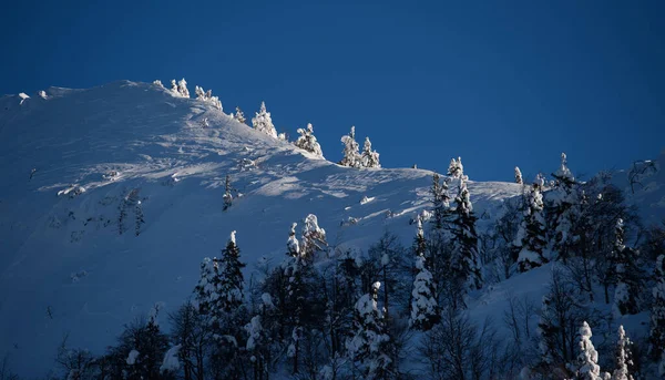 Winter Wonderland Mountains Fresh Snow — Stock Photo, Image