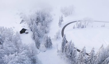 Kış orman havadan görünümü