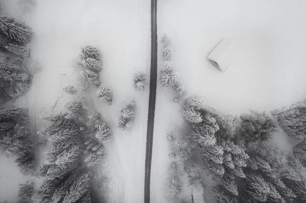 冬の森の空撮 — ストック写真