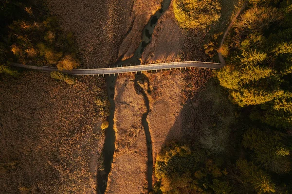 Höstmorgon Vid Zelenci Fjädrar Bergen — Stockfoto