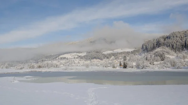 Winterochtend Het Bos Bergen Verse Sneeuwval — Stockfoto