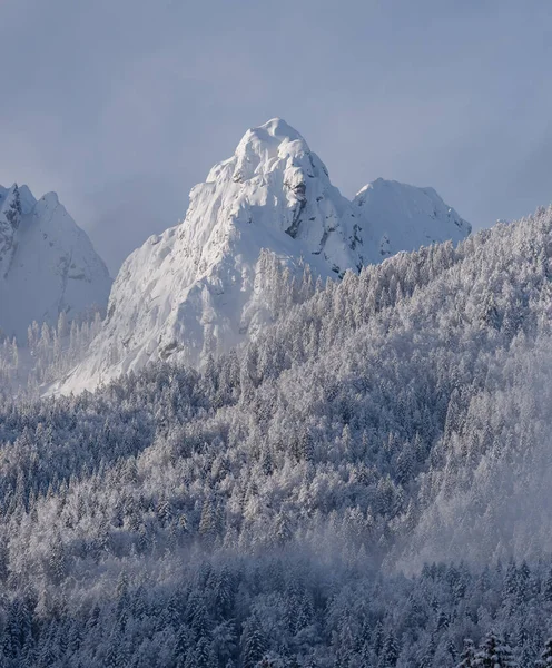 Winterochtend Het Bos Bergen Verse Sneeuwval — Stockfoto