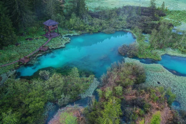 斯洛文尼亚泽伦奇森林中的翡翠小湖 — 图库照片