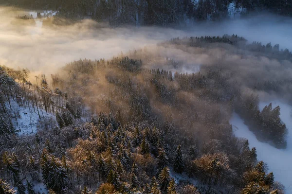 Luchtfoto Van Het Winterbos Vlak Voor Zonsondergang — Stockfoto