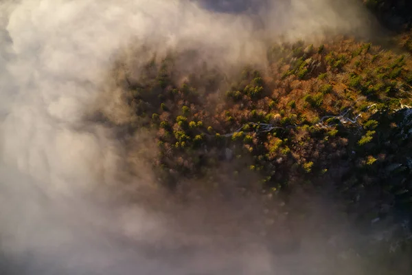 Imagem Aérea Uma Floresta Outono Com Nevoeiro Pôr Sol — Fotografia de Stock